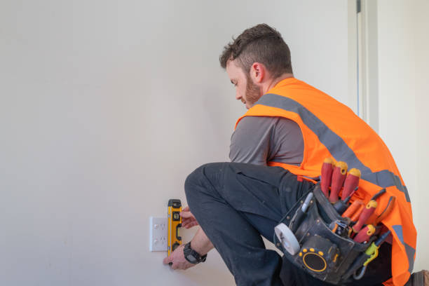 Best Electrical System Inspection  in Glespie, IL